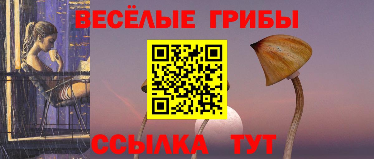 Псилоцибиновые грибы Psilocybine cubensis  Вход с VPN  Волжск 